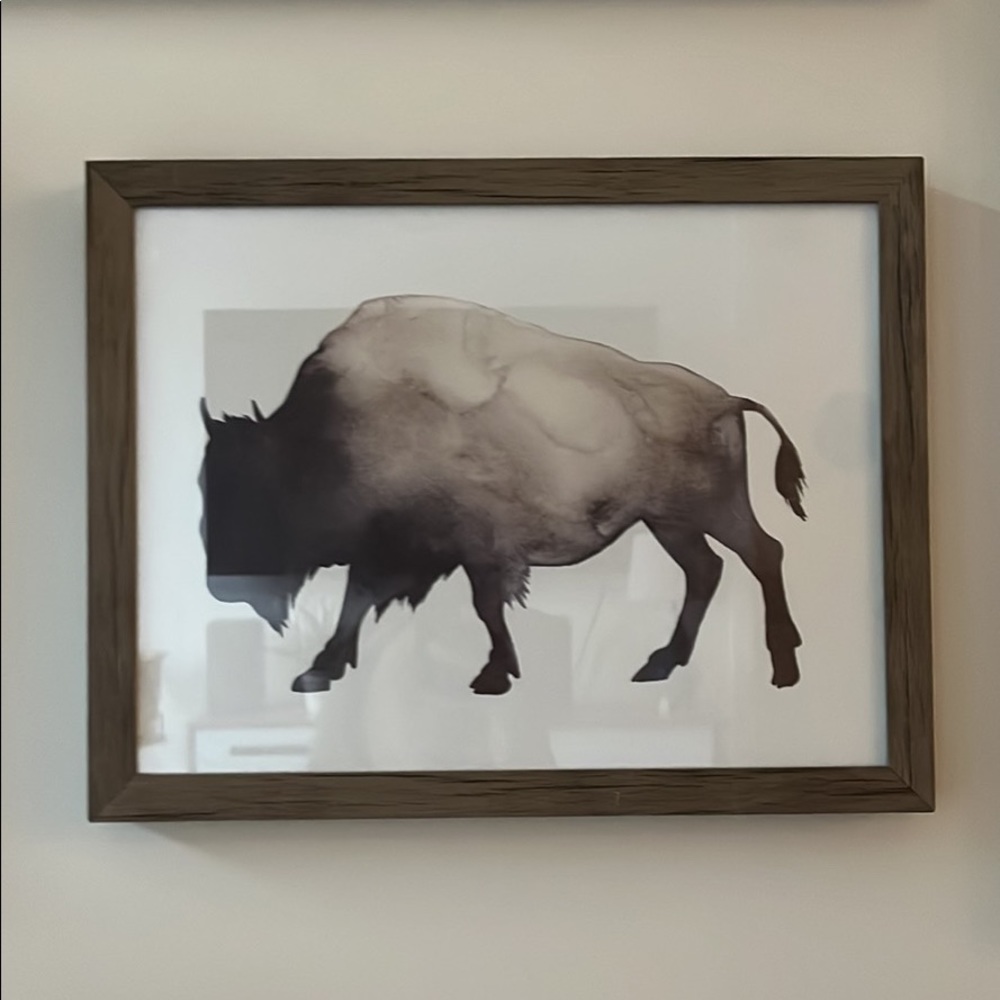 Buffalo picture with frame